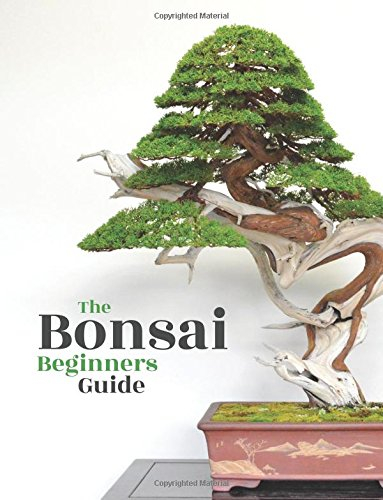 Bonsai: The Beginners Guide