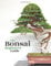 Bonsai: The Beginners Guide