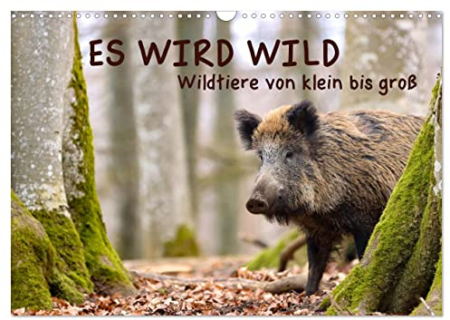 ES WIRD WILD Wildtiere von klein bis groß (Wandkalender 2025 DIN A3 quer), CALVENDO Monatskalender