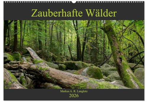 Zauberwelt Wald (Wandkalender 2026 DIN A2 quer), CALVENDO Monatskalender: Zauberhafte Wälder Mitteleuropas (CALVENDO Natur)