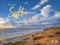 Sylt literarisch Mini-Broschurkalender 2024. Wandplaner-Kalender mit tollen Sylt-Fotos und Gedanken von Dichtern und Denkern zu ihrer Insel. ... Dichter und Denker über ihre Insel