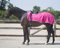 QHP Nierendecke Fleece-Ausreitdecke Color Fleecedecke Sattelausschnitt (L, Fuchsia)