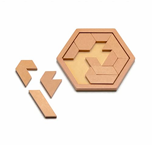 Natureich Pädagogisches Rätsel Montessori Holz Steck Puzzle, Kniffelspiel, Denkaufgabe geometrische Formen Logik Geduld Brettspiel Motorik Knobel Holzspielzeug Classic Games Jungen Mädchen ab 4 Jahre