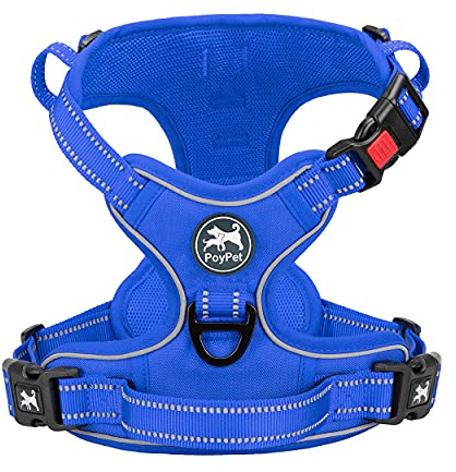 PoyPet Harnais pour chien sans pull - Réfléchissant - Gilet pour chien - Réglable et rembourré - Avec poignée Easy Control - Pour petits et grands chiens (bleu roi, L)