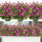 MARTINE MALL Künstliche Blumen für den Außenbereich, künstliche Blumen für den Außenbereich, UV-beständig, für den Außenbereich, Veranda, Fenster, Box, Garten, Haus, Terrasse, Dekoration, Fuchsia, 12