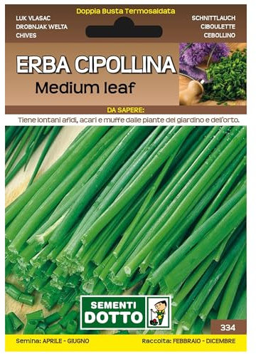 Sicignano | Semi Erba Cipollina Medium Leaf, Pianta Aromatica Perenne, Busta Extra - 6 Confezioni da 0.6g, Ideale per Ricette Fresche, Aromatizzare Insalata Salsa Vivande, Pianta da Vaso