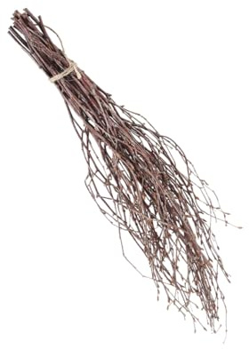 Künstliche Trockene Zweige Birkenstil 10 Stück 40cm Holz Dekoäste | Braun, Rustikaler Heimschmuck für Dekoration, Foto Requisiten, Basteln und Natürliche Akzente