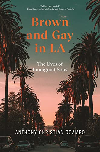 Brown and Gay in LA: The Lives of Immigrant Sons: 8 (Asian American Sociology)