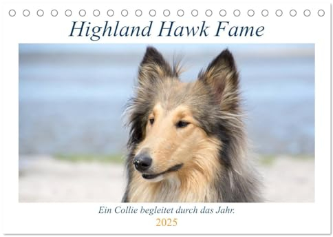Highland Hawk Fame - Ein Collie begleitet durch das Jahr (Tischkalender 2025 DIN A5 quer), CALVENDO Monatskalender: Bilder einer Rough Collie Hündin ... Wald, Wiese und Weinberge (CALVENDO Tiere)