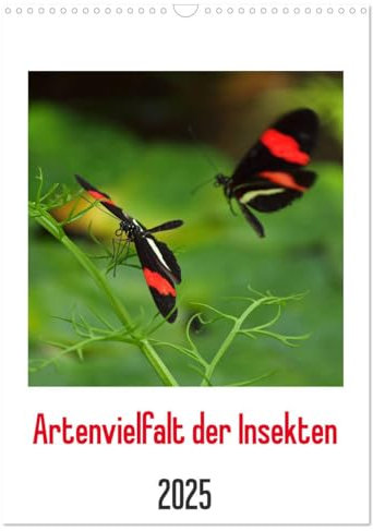 Artenvielfalt der Insekten (Wandkalender 2025 DIN A3 hoch), CALVENDO Monatskalender: Farbenfrohe und formenreiche Artenvielfalt der Insekten in eindrucksvollen Makroaufnahmen gezeigt. (CALVENDO Tiere)
