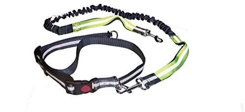 #discoversports Laufleine für Hunde mit verstellbarem Hüftgurt - Joggingleine, Freihandleine, Hundeleine, Laufgürtel, Jogging-Hundeleine (Grau-Grün)