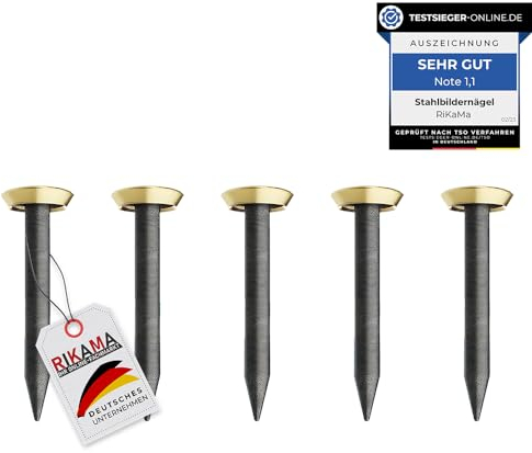 Lot de 30 clous pour tableau, 20 mm de long, clous en acier pour une utilisation sur le béton, la brique, le plâtre et le bois, clous en acier trempé comme suspension d'images, fabriqués en Europe