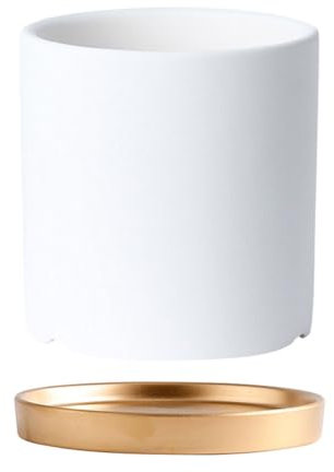 LAPADULA Pflanzentöpfe Leichte Luxus-Blumentöpfe, Desktop-Blumentöpfe, Moderne Blumentöpfe im einfachen Stil mit Drainagelöchern Pflanzgefäße (Color : B, Size : S)