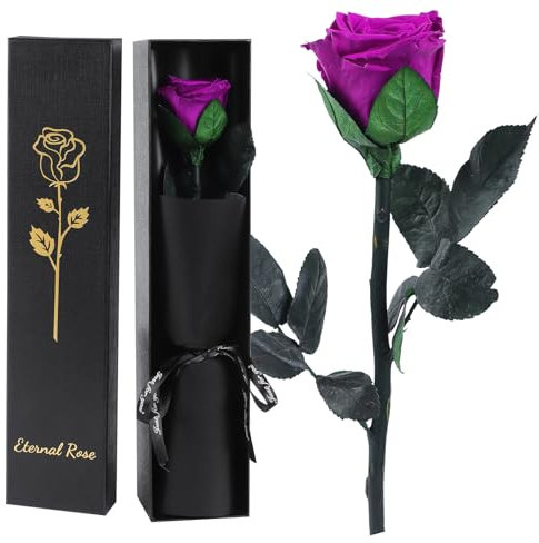 FRFG Vera Rosa Eterna Regalo Donna, Stabilizzata Vera Rosa con Steli Idee Regalo per Anniversario, Mamma, Donna Compleanno, San Valentino per Donne (Viola)