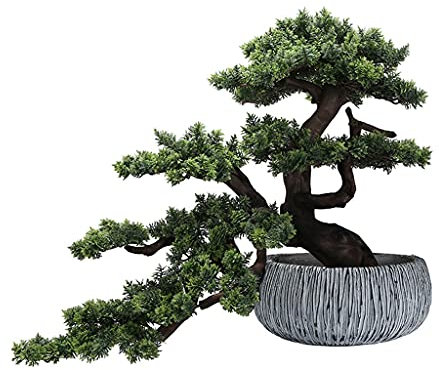 erkebspm Plantes artificielles Plante Artificielle d'intérieur accueillant Cyprès Songya Bonsaï Zen Fausse Plante Bonsaï pour la décoration Moderne de l'intérieur et de l'extérieur du Bureau à