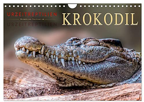 Urzeitreptilien - Krokodil (Wandkalender 2026 DIN A4 quer), CALVENDO Monatskalender: Beeindruckende Tiere mit unbändiger Kraft. (CALVENDO Tiere)