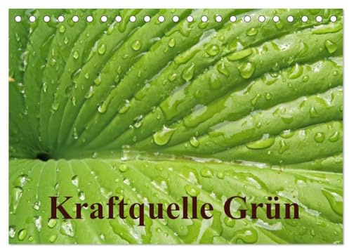 Kraftquelle Grün (Tischkalender 2026 DIN A5 quer), CALVENDO Monatskalender: Grün ist die Farbe der Hoffnung, deshalb wird das junge Frühlingsgrün auch ... Kraft und Energie schenkt. (CALVENDO Natur)