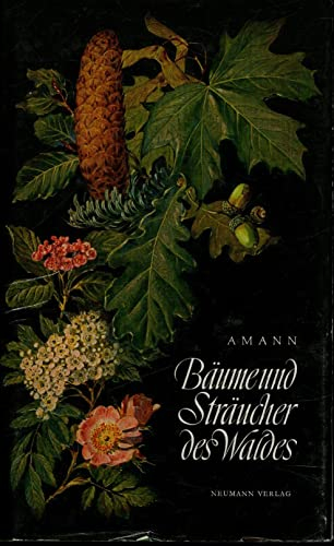 Bäume und Sträucher des Waldes.