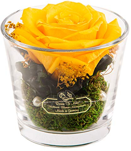 Rosen-Te-Amo 1 konservierte Gelbe Rose in der Vase mit echten Bindegrün; Konservierte Rose im Glas: ideal als Weihnachten-Deko 3 Jahre haltbar ohne Wasser