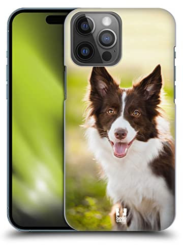 Head Case Designs Border Collie Marrone in Estate Razze Famose di Cani Custodia Cover Dura per Parte Posteriore Compatibile con Apple iPhone 14 PRO Max