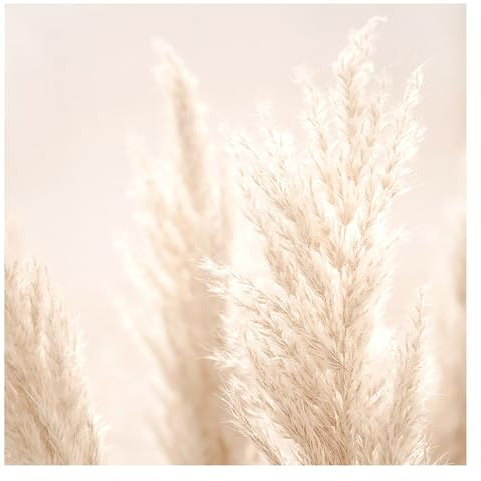 Bilderwelten Fototapete Pampasgras 240cm x 240cm Blumen Modern Natur Blumentapete Vliestapete Tapete Wanddeko Ideen Wohnzimmer Schlafzimmer Küche