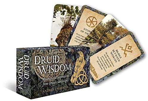 Druid Wisdom: 40 rounded corner cards + 1 box with 1 magnet (Rockpool Mini Cards)