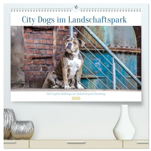 City Dogs im Landschaftspark (hochwertiger Premium Wandkalender 2026 DIN A2 quer), Kunstdruck in Hochglanz: Ausdrucksvolle Fotos von Old English Bulldog im Industriestyle (CALVENDO Tiere)