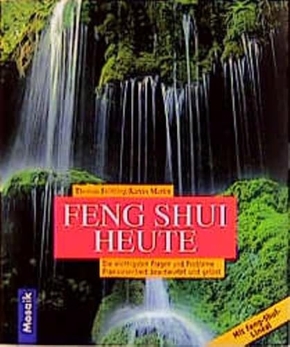 Feng Shui heute: Die wichtigsten Fragen und Probleme. Praxisorientiert beantwortet und gelöst. Das umfassende Handbuch mit Feng Shui Lineal