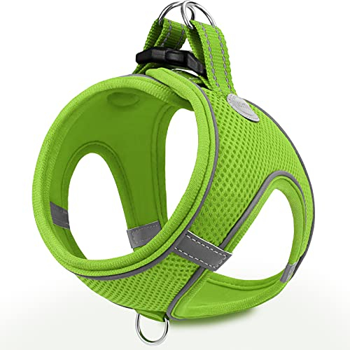 Joytale Hundegeschirr, Reflektierend Weich Gepolstert Hunde Geschirr, Air-Mesh Atmungsaktiv Brustgeschirr für Kleine Mittelgroße Hunde, L, Grün