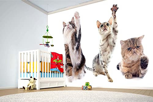 Vlies Fototapete SPIELENDE KATZEN 375 x 250 cm (inkl. Kleister) - Vlies Tapete, Wandtapete, Wandbilder - Tapete für Wohnzimmer Schlafzimmer, Büro, Küche - Montagefertig