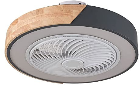 Ventilatore da soffitto con Illuminazione Ventilatore da soffitto Moderno Chiuso con Luce Ventilatore da soffitto LED dimmerabile a 3 Colori Senza Pale con Telecomando Ventilatore Silenzioso per Cam