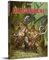 Free League Dragonbane Path of Glory (Rollenspiel, Hardcover, ab 180 Jahren, Fantasy-Thema, für Erwachsene, enthält Regelbuch und Karte)