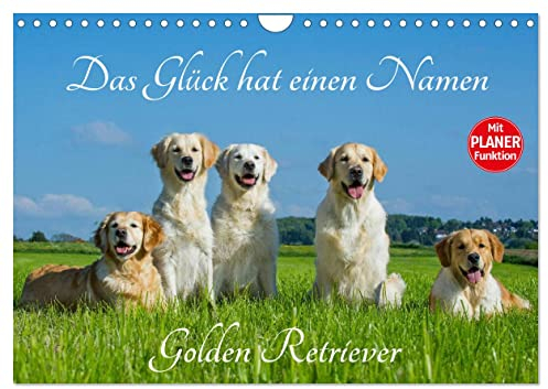 Das Glück hat einen Namen - Golden Retriever (Wandkalender 2024 DIN A4 quer), CALVENDO Monatskalender: Eine der wohl schönsten und beliebtesten Hunderassen auf 13 wundervollen Fotos (CALVENDO Tiere)