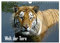 Welt der Tiere (Wandkalender 2025 DIN A4 quer), CALVENDO Monatskalender