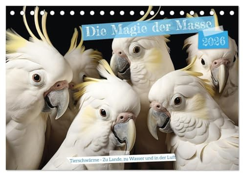 Die Magie der Masse (Tischkalender 2026 DIN A5 quer), CALVENDO Monatskalender: Die ultimative Teamarbeit! (CALVENDO Tiere)