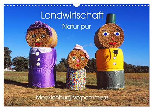 Landwirtschaft Natur pur Mecklenburg-Vorpommern (Wandkalender 2026 DIN A3 quer), CALVENDO Monatskalender: Landschaft aus einem anderem Blickwinkel betrachten. (CALVENDO Natur)