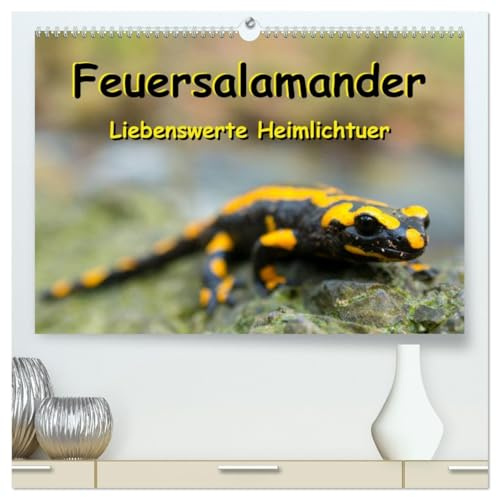 Feuersalamander - Liebenswerte Heimlichtuer (hochwertiger Premium Wandkalender 2026 DIN A2 quer), Kunstdruck in Hochglanz: Die beliebten, sympathisch ... in farbigen Großaufnahmen. (CALVENDO Tiere)
