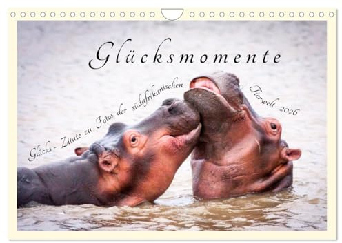 Glücksmomente Glücks-Zitate zu Fotos der großartigen südafrikanischen Tierwelt (Wandkalender 2026 DIN A4 quer), CALVENDO Monatskalender: Eine ... abwechslungsreicher Tierwelt (CALVENDO Tiere)