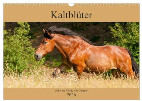 Kaltblüter - Schwere Pferde mit Charme (Wandkalender 2026 DIN A3 quer), CALVENDO Monatskalender: Zauberhafte Kaltblutpferde (CALVENDO Tiere)