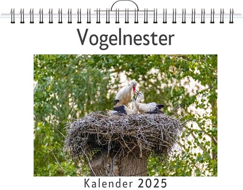 Vogelnester - (Wandkalender 2025, Kalender DIN A4 quer, Monatskalender im Querformat mit Kalendarium, das perfekte Geschenk)