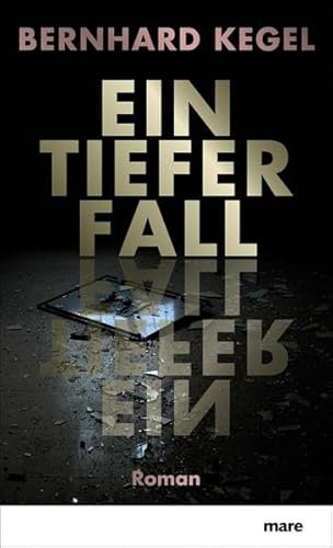 Ein tiefer Fall: Roman