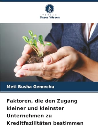 Faktoren, die den Zugang kleiner und kleinster Unternehmen zu Kreditfazilitäten bestimmen
