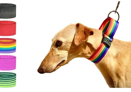 Bub´s Halsband Martingale für Windhunde Gross und mittel. Masse des Halsumfangs des Hundes: 35 – 50 cm (Rainbow)
