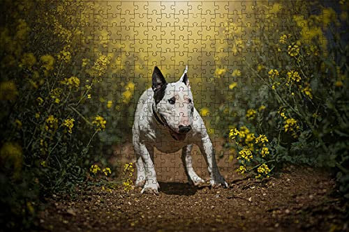 LHJOY Geschenke für Jungen Puzzel 1000 Teile Bullterrier Hund Raps Tier Geburtstagsgeschenk 75x50cm