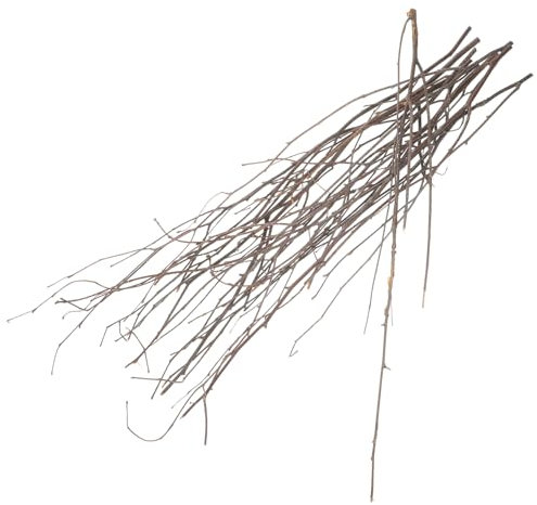 Zerodeko 10 Pezzi Ramo Rami Di Betulla Decorativi Rami Degli Alberi Per La Decorazione Steli Di Ghirlande Natalizie Rami Di Salice Ricci Rami Per Vasi Di Legno Composizione Floreale Riccio
