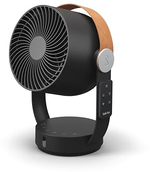 Stadler Form Tischventilator Leo, vertikale und horizontale Schwenkfunktion, leise, 4 Geschwindigkeitsstufen, 1–7 h Timer, Fernbedienung, Griff aus Kunstleder, schwarz