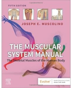 The Muscular System Manual: The Skeletal Muscles of the Human Body