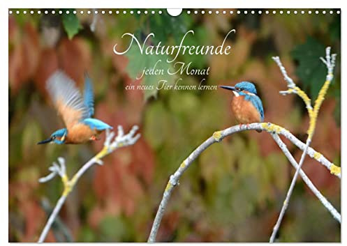Naturfreunde, jeden Monat ein neues Tier kennen lernen. (Wandkalender 2026 DIN A3 quer), CALVENDO Monatskalender: Kinder können mit den Erwachsenen Tiere bestaunen. (CALVENDO Tiere)