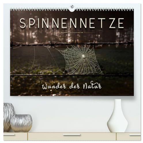 Spinnennetze - Wunder der Natur (hochwertiger Premium Wandkalender 2026 DIN A2 quer), Kunstdruck in Hochglanz: Technische Meisterleistungen der Spinnen in ausdruckstarken Bildern. (CALVENDO Tiere)