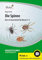 Die Spinne: (2. und 3. Klasse)
